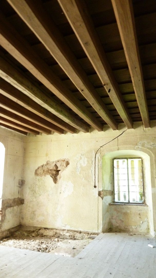 Kaštieľ v srdci malebnej prírody - na predaj idylické sídlo s rozsiahlym pozemkom