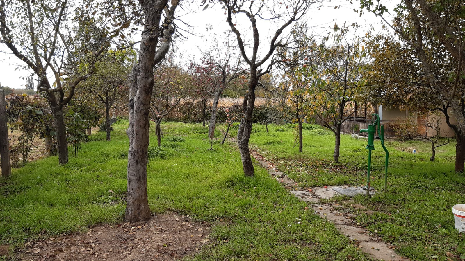 Hľadáte únik z ruchu mesta  s vlastnením kúsku prírody priamo v meste ? Komplet zrekonštruovaná záhradná chatka so studňou na pozemku!