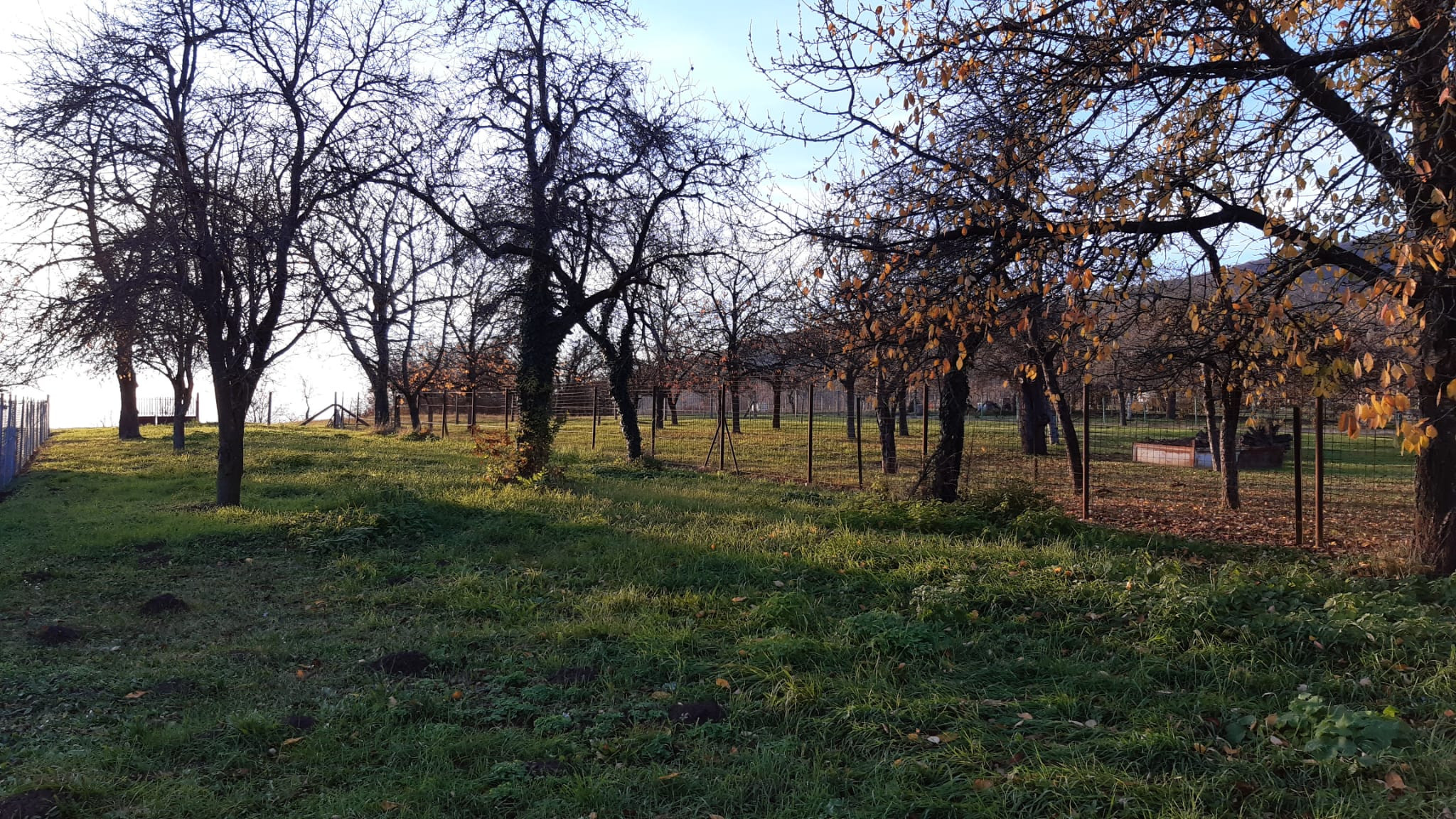 Hľadáte tradičný slovenský rodinný dom  s autentickým šarmom?