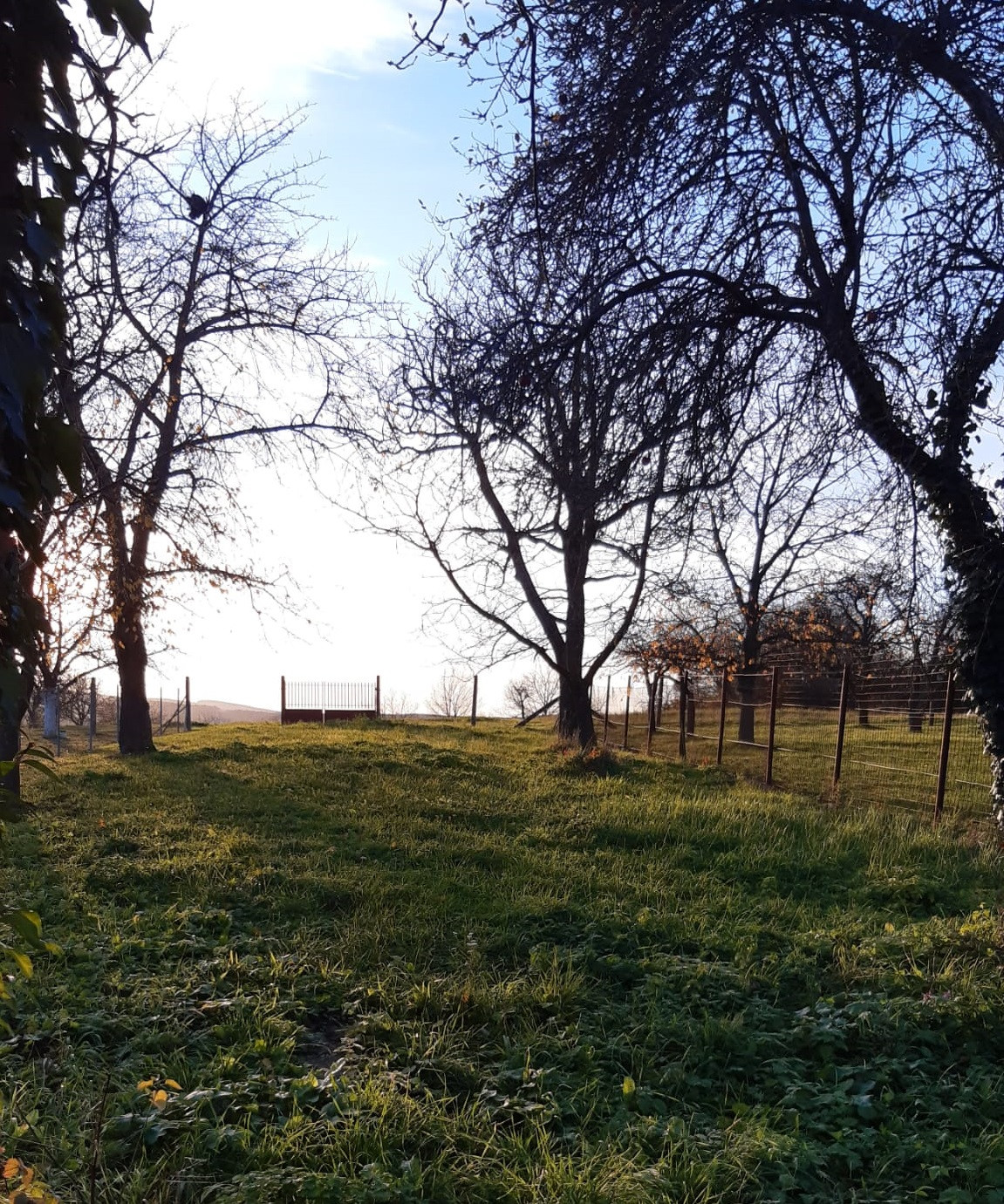 Hľadáte tradičný slovenský rodinný dom  s autentickým šarmom?