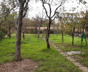 Hľadáte únik z ruchu mesta  s vlastnením kúsku prírody priamo v meste ? Komplet zrekonštruovaná záhradná chatka so studňou na pozemku!