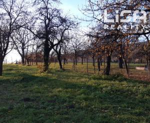 Hľadáte tradičný slovenský rodinný dom  s autentickým šarmom?