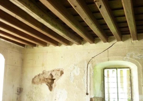 Kaštieľ v srdci malebnej prírody - na predaj idylické sídlo s rozsiahlym pozemkom