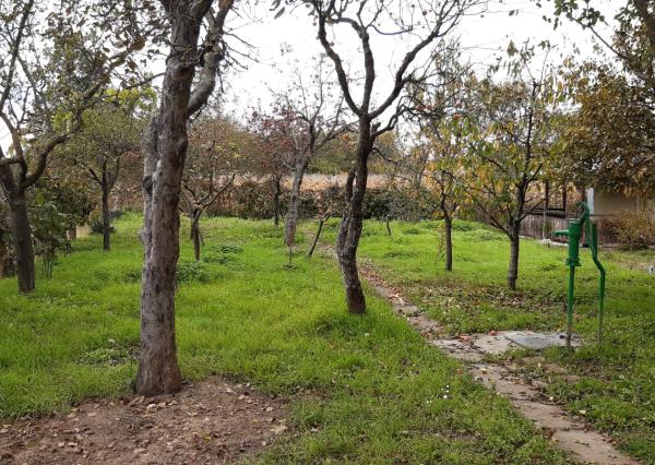 Hľadáte únik z ruchu mesta  s vlastnením kúsku prírody priamo v meste ? Komplet zrekonštruovaná záhradná chatka so studňou na pozemku!