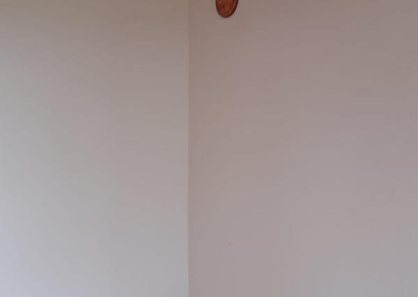 Hľadáte únik z ruchu mesta  s vlastnením kúsku prírody priamo v meste ? Komplet zrekonštruovaná záhradná chatka so studňou na pozemku!