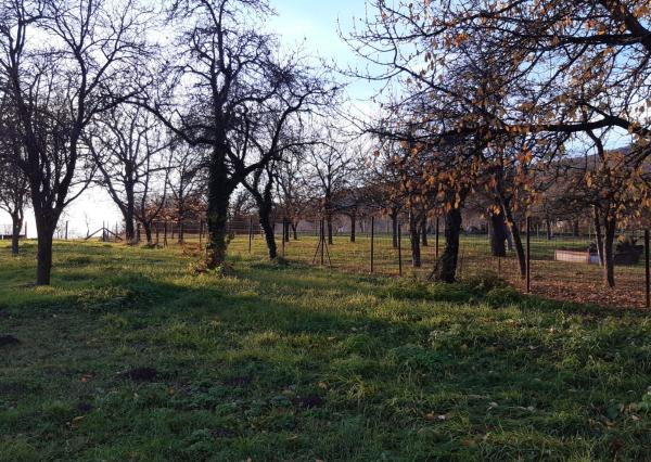 Hľadáte tradičný slovenský rodinný dom  s autentickým šarmom?