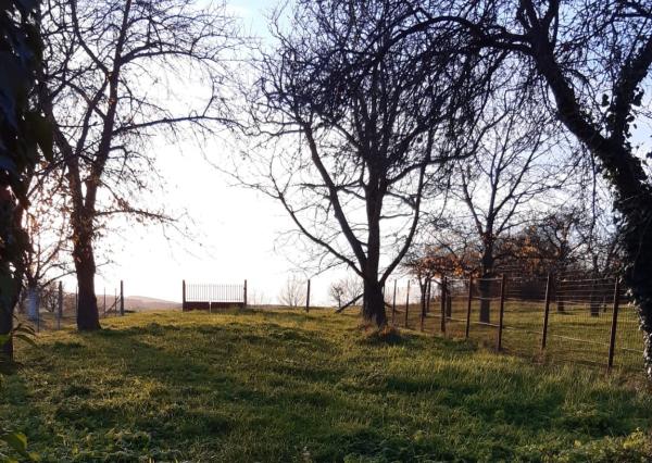 Hľadáte tradičný slovenský rodinný dom  s autentickým šarmom?