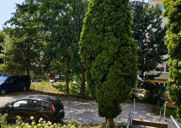 Svetlý 1-izbový byt  kompletne zariadený – ideálne štartovacie bývanie alebo skvelá investícia na prenájom!